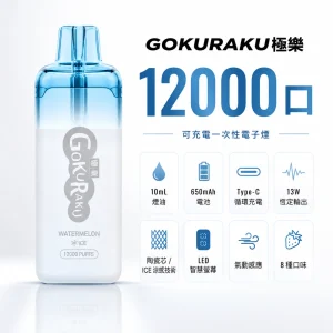 GOKURAKU 極樂 12000口 一次性電子煙｜10mL 陶瓷芯 Type-C 可充電